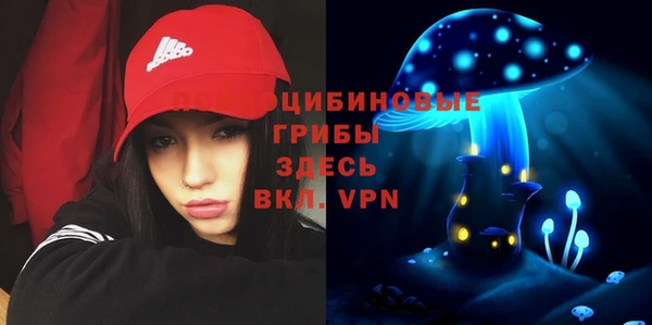 прущие крисы Беломорск