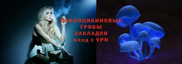 прущие крисы Беломорск