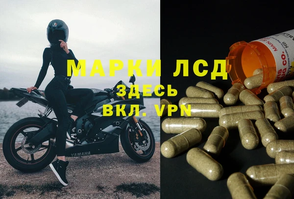 прущие крисы Беломорск