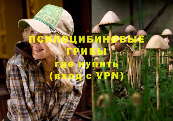 мяу мяу мука Белокуриха